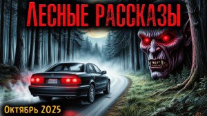 ЛЕСНЫЕ РАССКАЗЫ | Страшные истории