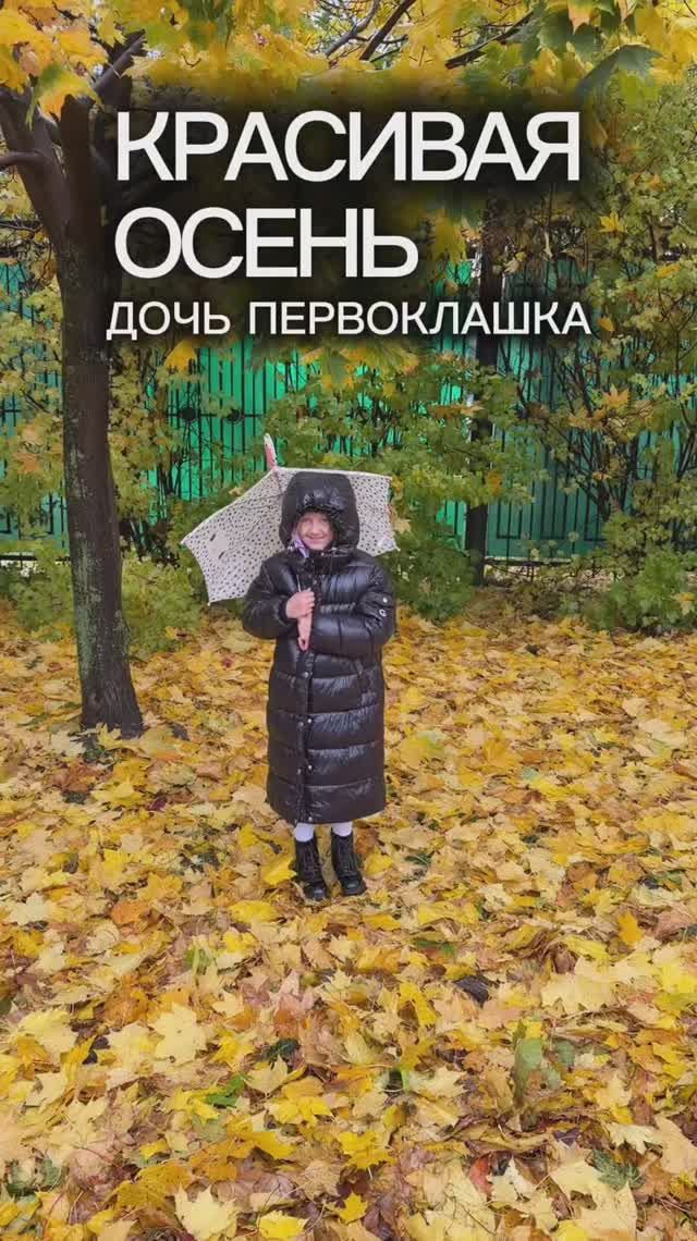 Красивая осень смотреть онлайн