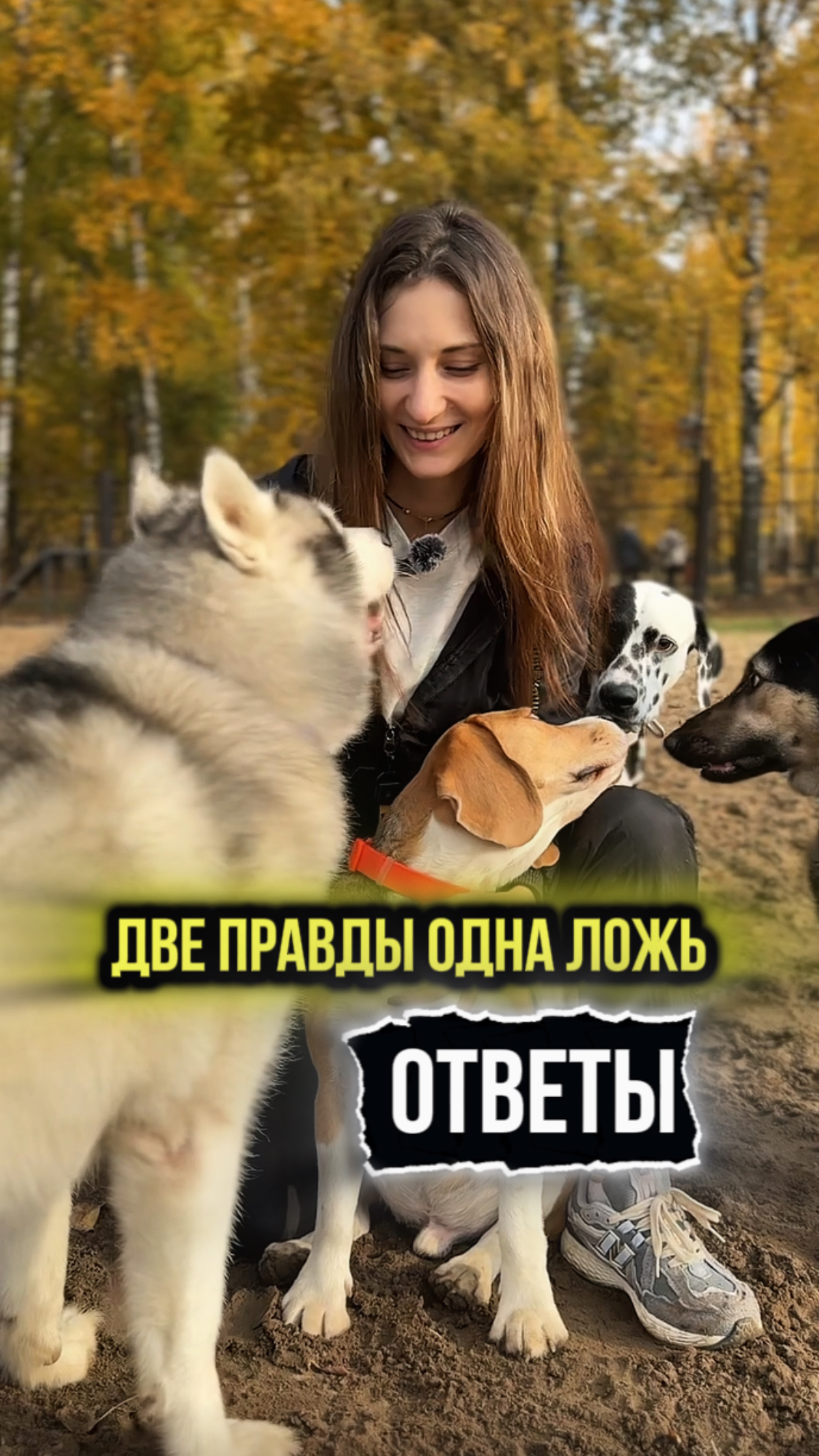 Тадаааам😇 смотреть онлайн