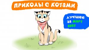 Приколы с котами. ЛУЧШЕЕ ЗА МАРТ 2025 | Мемозг