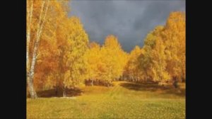 КЛИП ЗОЛОТАЯ ОСЕНЬ Краски осени