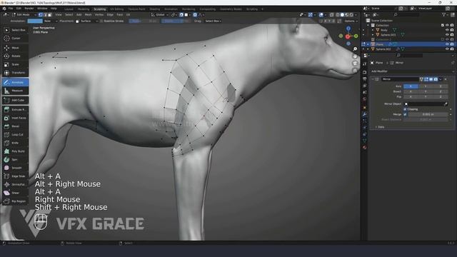 16 Model Topology 01 смотреть онлайн