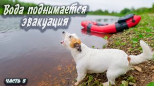 Река не пускает | Северный Тиман 2025