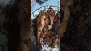 Всем привет ✌️