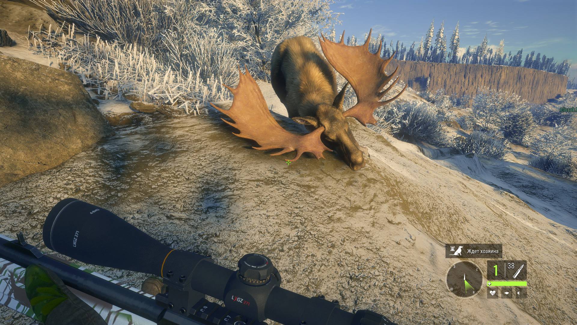 theHunter- Call of the Wild™ № 1