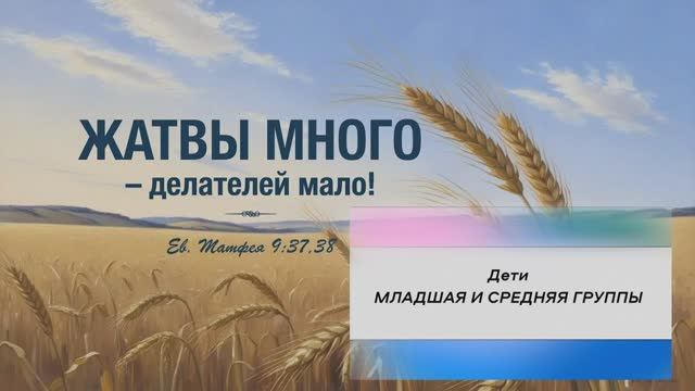 МЛАДШАЯ И СРЕДНЯЯ ГРУППЫ | Дети