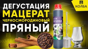 Дегустация мацерата черная смородина с пряностями