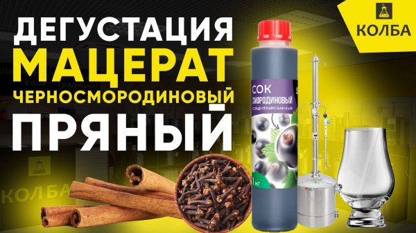 Дегустация мацерата черная смородина с пряностями