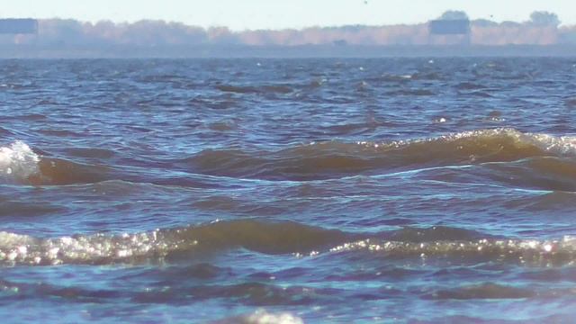 Шум волн на Финском заливе в Тарховке смотреть онлайн