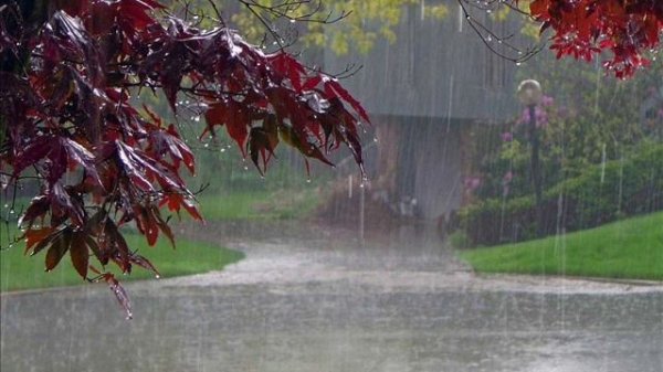 Have You Ever Seen the Rain