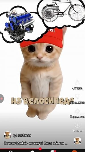 кисуня авто