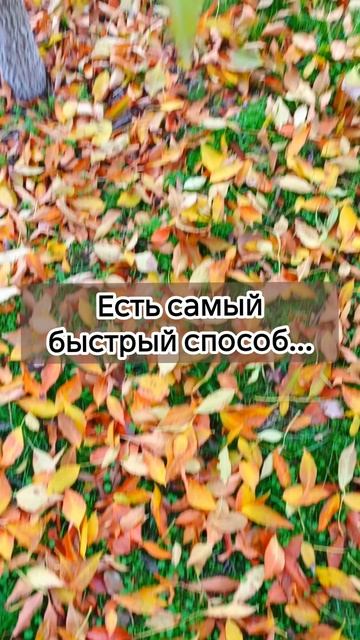 «Как исправить горловое произношение звука „Р“ у взрослых? смотреть онлайн