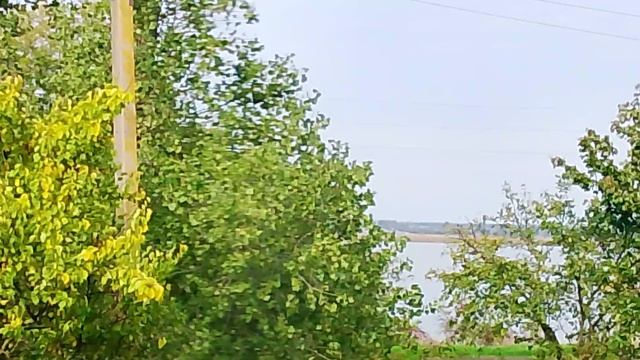 Пейзаж с деревьями тополями смотреть онлайн