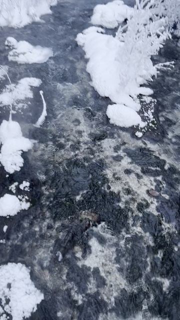 посёлок Аршан