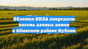 Обломки БПЛА повредили восемь дачных домов в Абинском районе Кубани