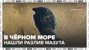 Новости регионов: в акватории Черного моря обнаружили разлив мазута объемом 900 тонн - Москва 24