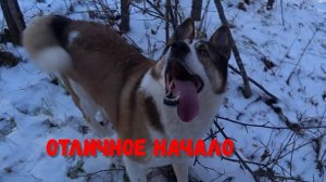 ОТЛИЧНОЕ НАЧАЛО!!!