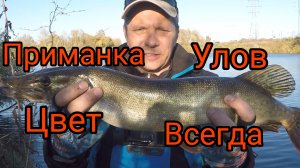 ЛОВЛЯ ЩУКИ в ОКТЯБРЕ. Одна из ТОПОВЫХ ПРИМАНОК на ЩУКУ