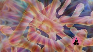 Оригинальная матрица Гаряева слушать онлайн бесплатно без рекламы в хорошем качестве mp3 Октябрь