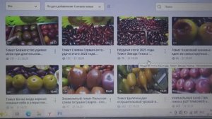 ОТВЕТЫ НА ВОПРОСЫ ЗРИТЕЛЕЙ Огородной азбуки. Октябрь 2025 года.