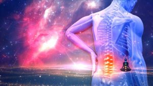 Радикулит Петр Гаряев Матрица Программа подлинная чистая WAVEGENETICS.RU