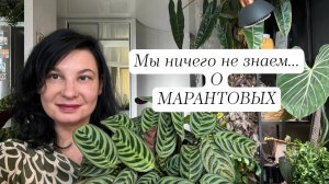 Мы ничего не знаем о МАРАНТОВЫХ