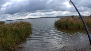 РЫБАЛКА на ФИДЕР. ТЕСТ НОВОЙ УДОЧКИ НА ОЗЕРЕ.