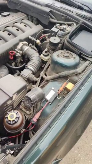 топ прикол-чек