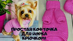 Вяжем крючком простой и стильный свитер для собак - Йорка или Той терьера