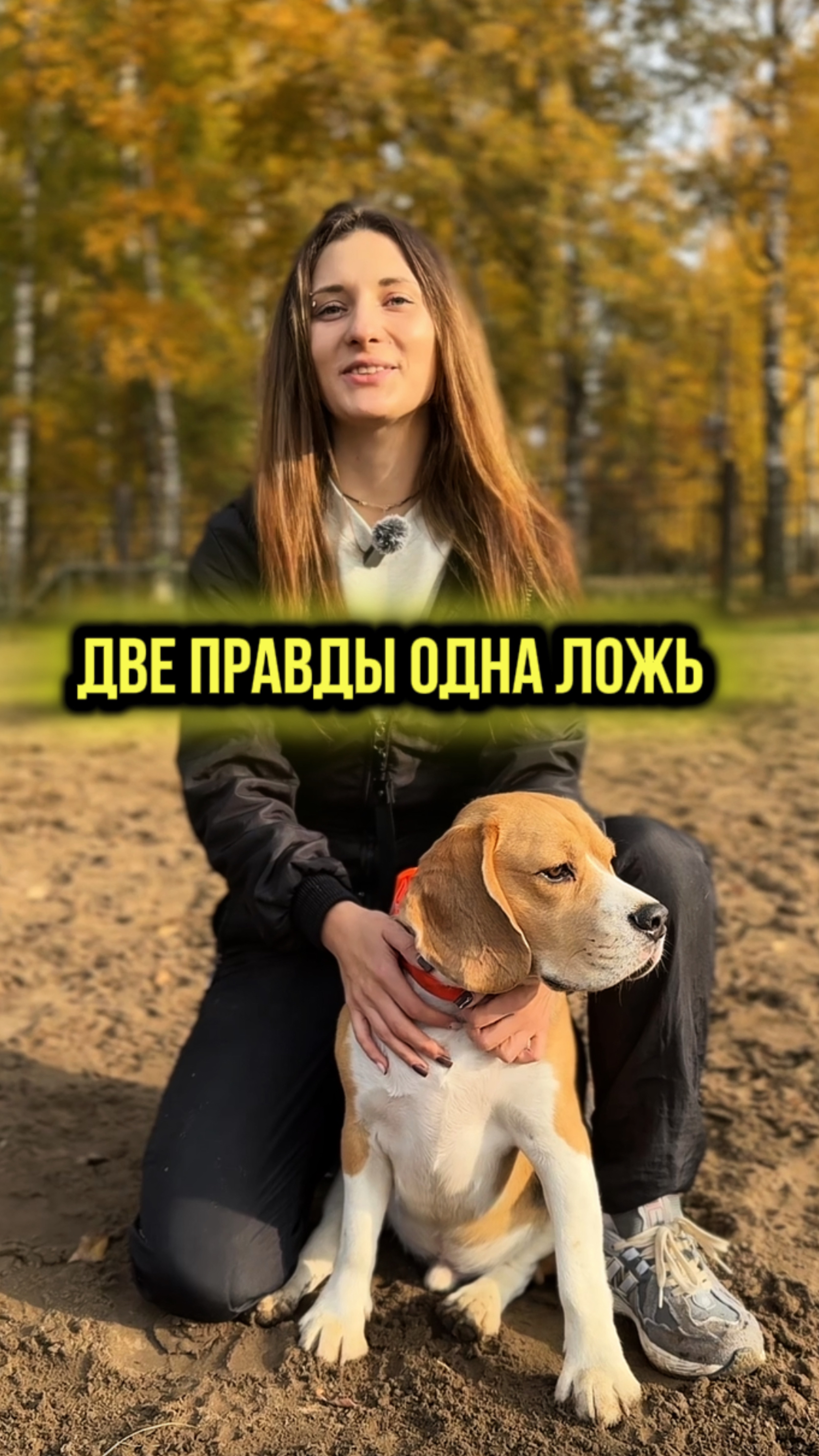 Что думаете в этот раз?🥹 смотреть онлайн