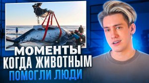МОМЕНТЫ КОГДА ЖИВОТНЫМ ПОМОГЛИ ЛЮДИ!