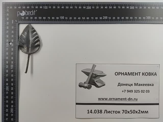 14.038 Листок 70х50х2мм.mp4