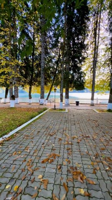 Абхазия, дача Сталина на озере Рица сегодня (24 октября, ОСЕНЬ-2025) смотреть онлайн