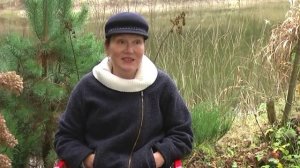 Отвечаем на вопросы о голубике