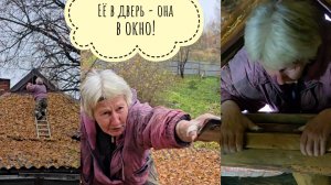 Сыч Лучик очень не любит гостей, а они лезут и лезут! Ирина Александровна влезла в дом через окно!
