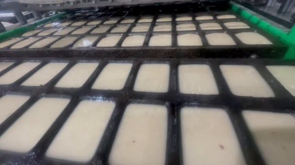 cake line cake bakery machine cake equipment cake deposit cream aeration system, egg break cake aera