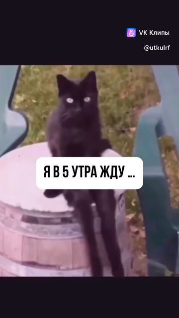 23.10.25_3