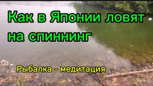 Рыбалка на спиннинг в Японии.Как ловят окуня там?
