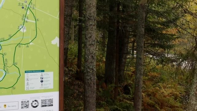 Государственный природный заказник "Линдуловская роща". смотреть онлайн