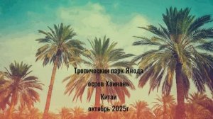 Экскурсия в тропический парк      Янода      на острове Хайнань       Китай   октябрь 2025г
