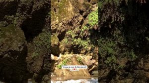 🔴 Vă doresc o seară frumoasă și plină de farmec!