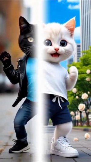 Котики ❤️😺