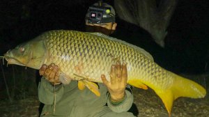 ВОТ ЭТО САЗАН! ОГРОМНЫЙ САЗАН! Эта наживка реально рабочая тема! Астрахань 2025!