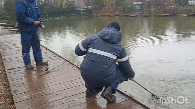 Дождь рыбалке не помеха смотреть онлайн