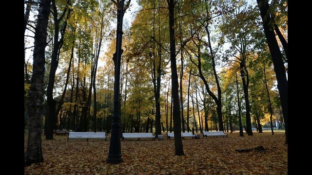 "Тихий отдых" на Каменном острове