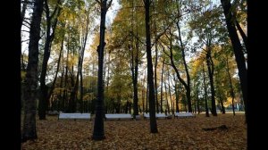 "Тихий отдых" на Каменном острове