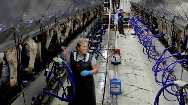 «Земля и люди» — 03.10.2025