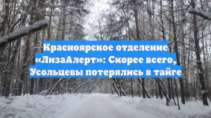 Красноярское отделение «ЛизаАлерт»: Скорее всего, Усольцевы потерялись в тайге