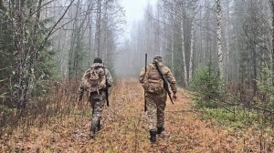 ОХОТА НА РЯБЧИКА НА МЕТАХ СТАРЫХ ВЫРУБОК. ТУМАН В ТАЙГЕ. НАШЕЛ ДВА МЕСТА ОБИТАНИЯ БОБРА.