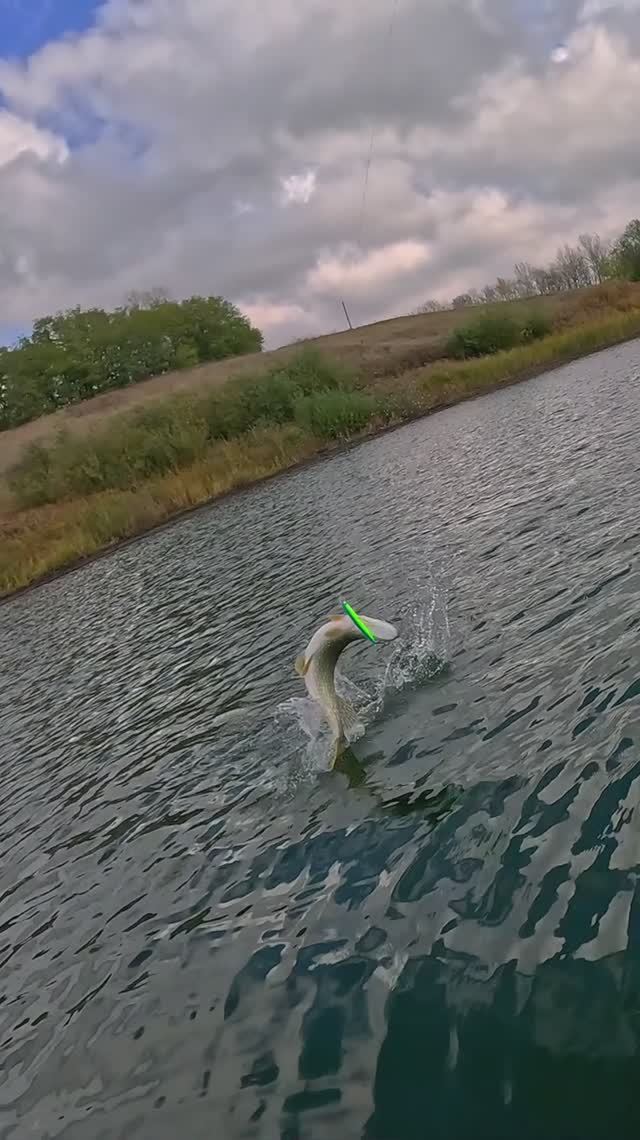 ПОПАЛАСЬ! Крупная ЩУКА на огромный ВОБЛЕР!😱💥💪 #shorts #рыбалка #luremax смотреть онлайн